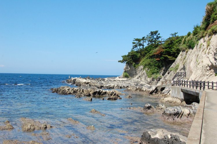 🌊 아라사키 공원(아라사키 코엔) 이미지 3